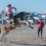 Puede ser una imagen de 4 personas y caballo