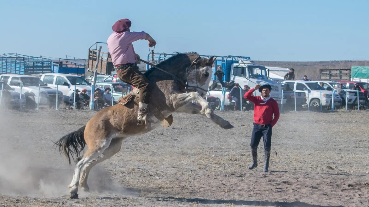 Puede ser una imagen de 4 personas y caballo