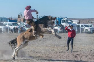 Puede ser una imagen de 4 personas y caballo