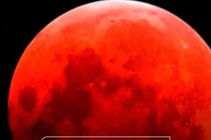 Puede ser una imagen de texto